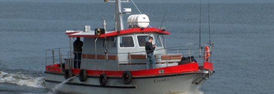 Wyprawy na dorsza – złów z nami wielką rybę!